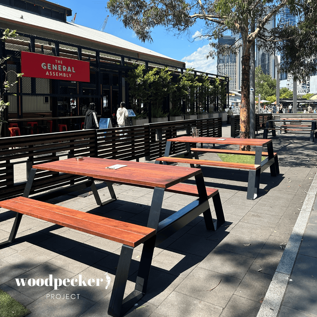 Modern Picnic Table - Limited Edition